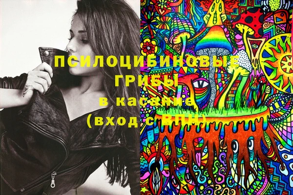 дживик Козельск