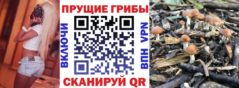 Псилоцибиновые грибы мухоморы  Купить  Калтан 